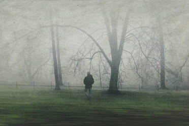Mann geht auf Wiese mit Bäumen, Nebel - DWIF01038