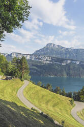 Schweiz, Gersau, Schwyz, Kurvenreiche Straße mit hoher bewaldeter Felswand und Vierwaldstättersee im Hintergrund - MMAF01122