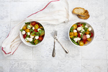 Napkin, forks, slices of bread and two bowls of fresh salad lying on tiled table - LVF08284