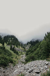 Schweiz, Graubünden, Davos, nebliger Blick auf den Berg - LHPF00990