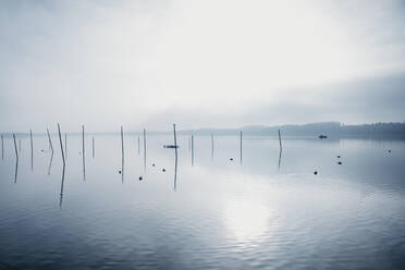 Switzerland, Zurich, Pfffikon, foggy view of lake - LHPF00991