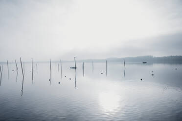 Switzerland, Zurich, Pfäffikon, foggy view of lake - LHPF00993