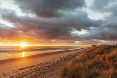 Neuseeland, Nordinsel, Waikato, Waihi Beach, malerischer Blick auf den Strand bei Sonnenuntergang - FOF10972