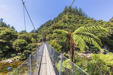 New Zealand, North Island, Waikato, footbridge over Ohinemuri River - FOF10981