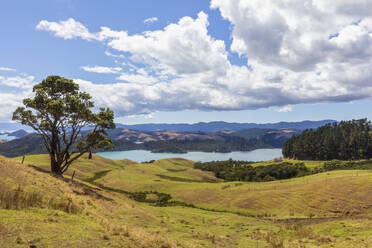 Neuseeland, Nordinsel, Waikato, malerische Landschaft gegen bewölkten Himmel - FOF10985