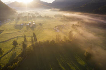 Deutschland, Bayern, Oberbayern, Isarwinkel, Jachenau, ländliche Landschaft im Nebel bei Sonnenaufgang - SIEF09080