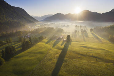 Deutschland, Bayern, Oberbayern, Isarwinkel, Jachenau, ländliche Landschaft im Nebel bei Sonnenaufgang - SIEF09084