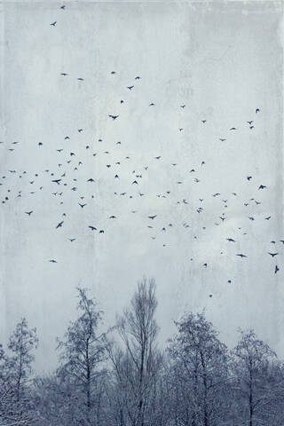 Deutschland, Wuppertal, Vogelschwarm fliegt über kahle Waldbäume im Winter, lizenzfreies Stockfoto