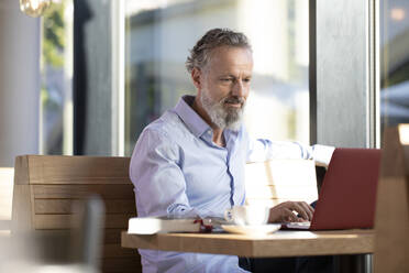 Mature man using laptop in a cafe - FKF03636