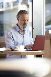 Mature man using laptop in a cafe - FKF03637