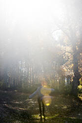 Woman relaxing in autumn forest - DAMF00110