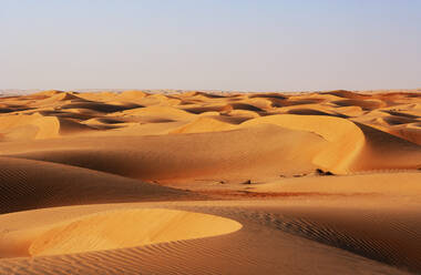 Sultanate Of Oman, Wahiba Sands, dunes in the desert - WWF05260