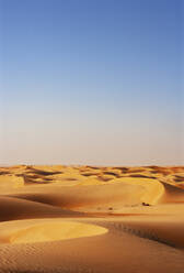 Sultanate Of Oman, Wahiba Sands, dunes in the desert - WWF05261