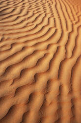 Oman, Gekräuselter Sand auf einer Düne, Vollbild - WWF05262