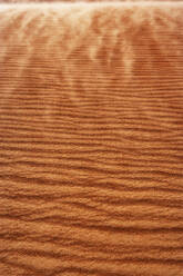 Oman, Rippled sand on a dune, full frame - WWF05266