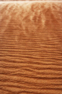 Oman, Gekräuselter Sand auf einer Düne, Vollbild - WWF05266