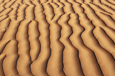 Oman, Gekräuselter Sand auf einer Düne, Vollbild - WWF05270