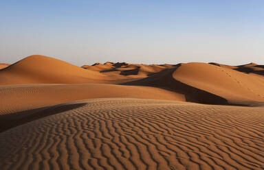 Sultanate Of Oman, Wahiba Sands, dunes in the desert - WWF05271