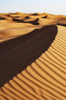 Sultanat Oman, Wahiba Sands, Dünen in der Wüste - WWF05274
