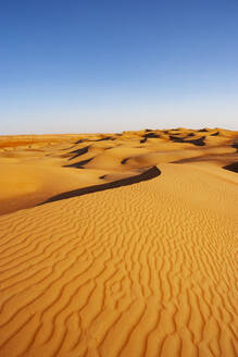 Sultanat Oman, Wahiba Sands, Dünen in der Wüste - WWF05275