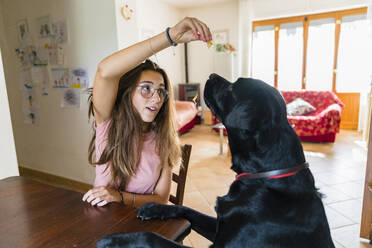 Mädchen spielt mit Hund am Tisch zu Hause - MGIF00699
