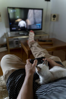 Man playing video game with kitten on his lap - AFVF04003
