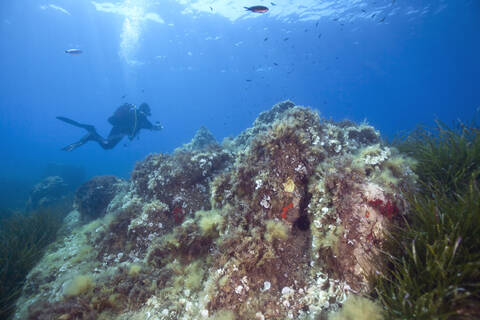 France, Corsica, Sagone, Underwater view of scuba diver exploring reef stock photo