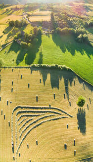 Aerial view of tractor harvesting straw bales in field in Correze, France. - AAEF03698