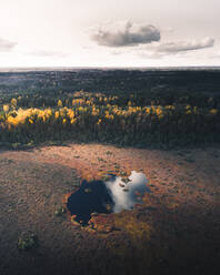 Luftaufnahme eines kleinen Sumpfes, der von Wald umgeben ist, gefärbt mit den verschiedenen Schattierungen der Herbstsaison in Estland - AAEF03776