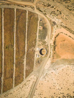 Luftaufnahme einer Aloe-vera-Plantage auf Fuerteventura, Kanarische Inseln. - AAEF03853