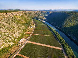 Luftaufnahme von Hügeln und Weinbergen neben dem Fluss Neretva in Bosnien und Herzegowina. - AAEF03941
