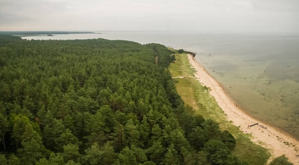 Panoramic aerial view of the coast of island Vormsi in Estonia - AAEF04045