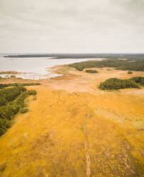 Luftaufnahme einer ungewöhnlichen Küstenlandschaft auf der Insel Vormsi in Estland - AAEF04064