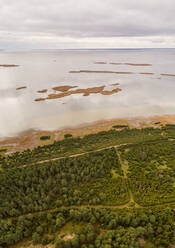 Luftaufnahme der grünen Küstenlinie von Vormsi bei bewölktem Wetter in Estland - AAEF04070