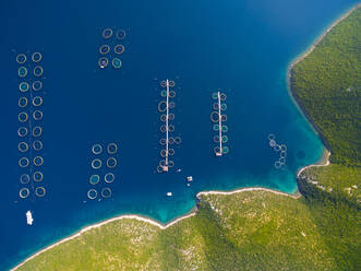 Luftaufnahme der Fischzucht in Dugi Otok in Kroatien - AAEF04105