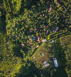 Luftaufnahme des grünen, hügeligen Dorfes Banjar und der Felder, Bali. - AAEF04311