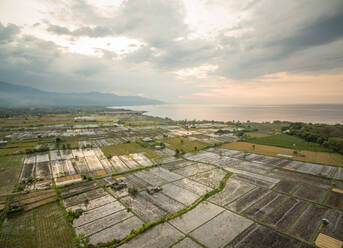 Luftaufnahme von landwirtschaftlichen Reisfeldern auf Bali bei Sonnenuntergang. - AAEF04315