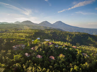 Luftaufnahme des grünen, hügeligen Dorfes Banjar und der Berge, Bali. - AAEF04327