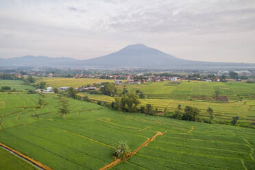Panoramablick aus der Luft auf Reisfelder, Städte und Berge in der Nähe von Patraland, Indonesien. - AAEF04343