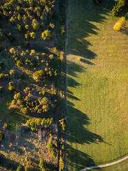 Luftaufnahme von Bäumen, die lange Schatten auf dem Lande werfen, Australien. - AAEF04397