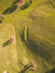 Luftaufnahme einer ländlichen Gegend in der Nähe von Melbourne, Australien. - AAEF04406