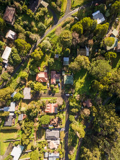 Aerial view of countryside neighborhood surrounded by trees, Australia. - AAEF04407