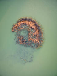 Luftaufnahme einer kleinen Vegetation, die auf einem See wächst, Australien. - AAEF04413