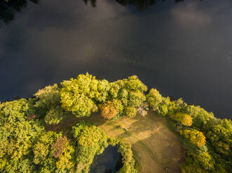 Luftaufnahme eines am Fluss vorbeifließenden Waldgebiets mit Gehweg, Australien. - AAEF04414
