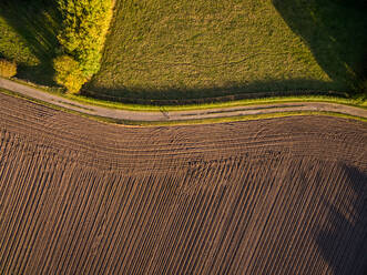 Aerial view of new soil being prepared for agriculture, Netherlands. - AAEF04419