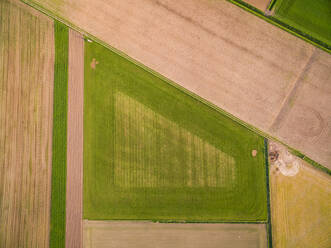 Aerial view above of abstract agricultural fields, Netherlands. - AAEF04426