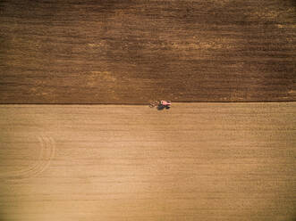 Aerial view of single tractor preparing raw soil for plantation, Netherlands. - AAEF04442