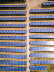 Aerial view above of photovoltaic panels during sunny day, Zutphen, Netherlands. - AAEF04448