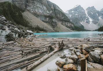 Baumstämme am Fuße des Moraine Lake, umgeben von den Rocky Mountains. - CAVF63343