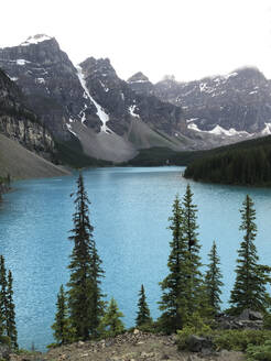 Nebliger Morgenblick auf den Moraine Lake und die umliegenden Berge. - CAVF63346